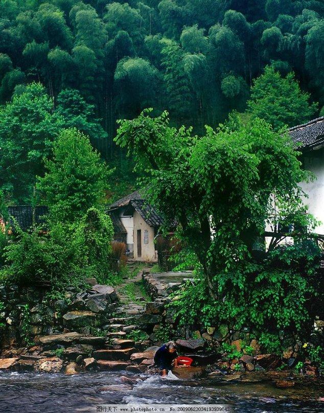 这个碗莲是不是要换盆,每天上午水都会被晒热知识星球-深入了解这个碗莲是不是要换盆,每天上午水都会被晒热的专业平台