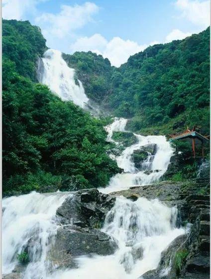 解答疑惑,尽在12月份能不能给盆景换土?!