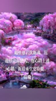 小猫钓鱼游戏龙王版有船